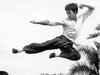 bruce-lee-big-boss-47.jpg