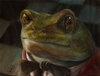 Лягуш ( 2016 год. ).jpg