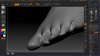 zbrushing.jpg