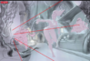 upload_2017-5-12_8-42-20.png