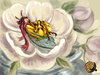 Fairy.jpg