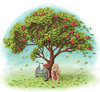 pet-sem-apple-tree-pict-gr.jpg