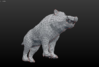 Boar-topology-07.png