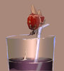 cup world.jpg