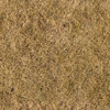 TexturesCom_GrassDead0042_1_M.jpg