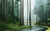 2018_11_Rainy_Forest_01.jpg