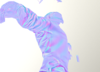 upload_2018-6-3_23-47-7.png