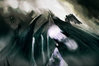 Untitled-7.jpg