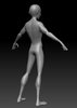 Cloth_back_tmp.jpg