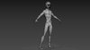 retopo_body.jpg