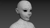retopo_face.jpg