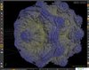 Mandelbulb.jpg
