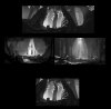 Untitled-1.jpg