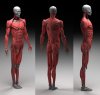 base_char_render_003a.jpg
