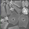 1584533760920.png