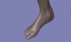 Foot.jpg