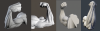 arm_study.png