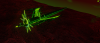2021-08-08_00-20-49.png