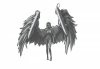 angel2.jpg