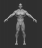 body.png