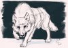 вовк.jpg