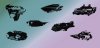 Thumbnails.jpg