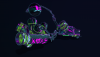 Pink-Waif 3.png