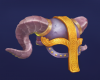 Helmet.png
