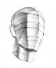 Head_structure_6.jpg