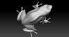 Frog3.jpg