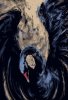 black swan.jpg