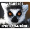 1738428056583.jpeg