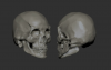 1755717683954.png