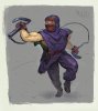 ninja crop1.jpg