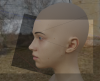 333.png