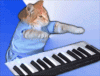 tenor.gif