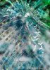 IMG_7527.jpeg