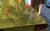 01.png