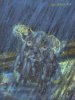 IMG_7675.jpeg