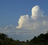 Cumulus_congestus_cloud.jpg
