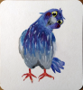 pigeon.png
