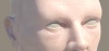 1107179.jpg