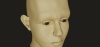1333472.jpg