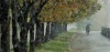 1341643.jpg