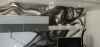 1936448.jpg