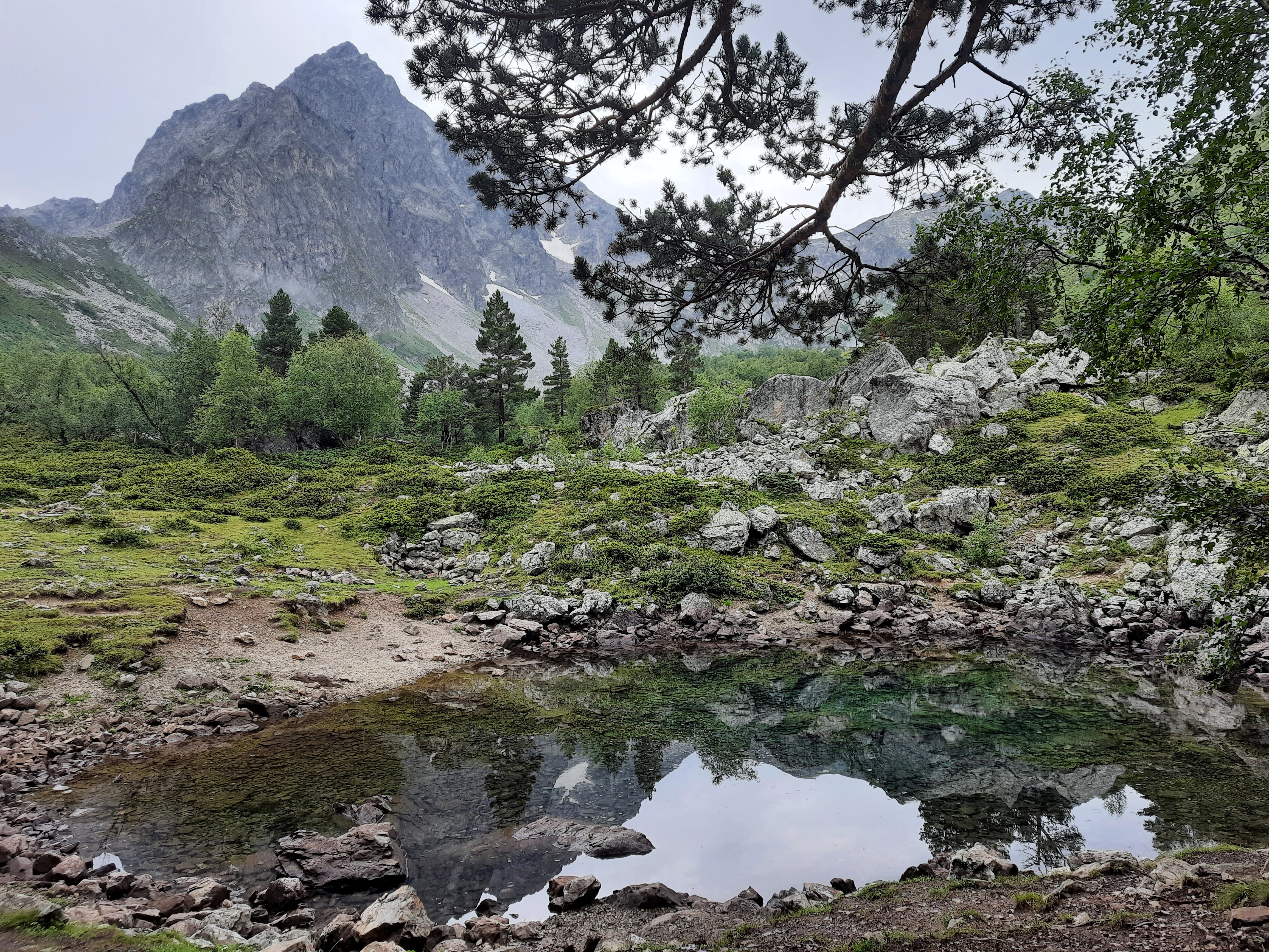 Алия Ахмадиева (alpinefir)