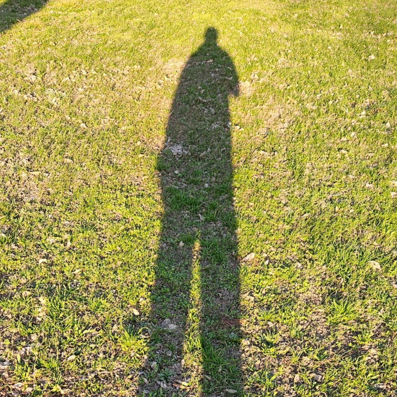 Dan Segal (daniilcg)